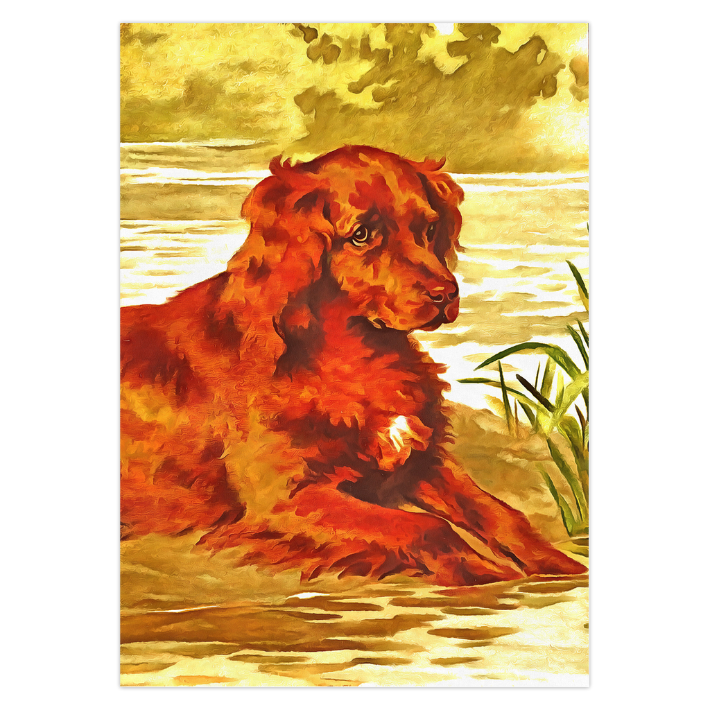 Any occasion greeting Card, blank inside, write anything, dog, design 19