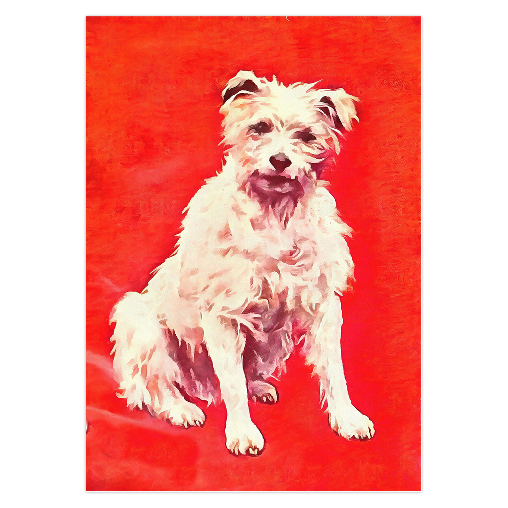 Any occasion greeting Card, blank inside, write anything, dog, design 29