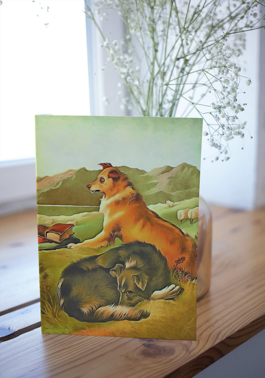 Any occasion greeting Card, blank inside, write anything, shepherd dog, design 21