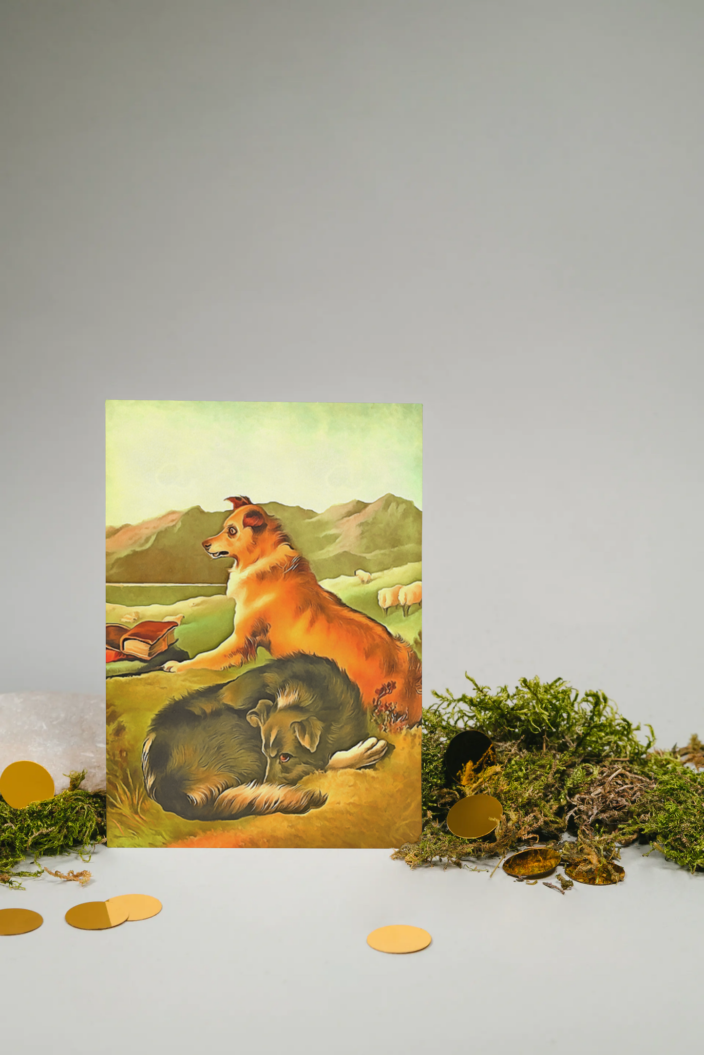 Any occasion greeting Card, blank inside, write anything, shepherd dog, design 21