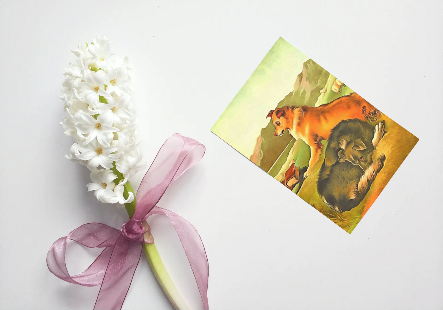 Any occasion greeting Card, blank inside, write anything, shepherd dog, design 21