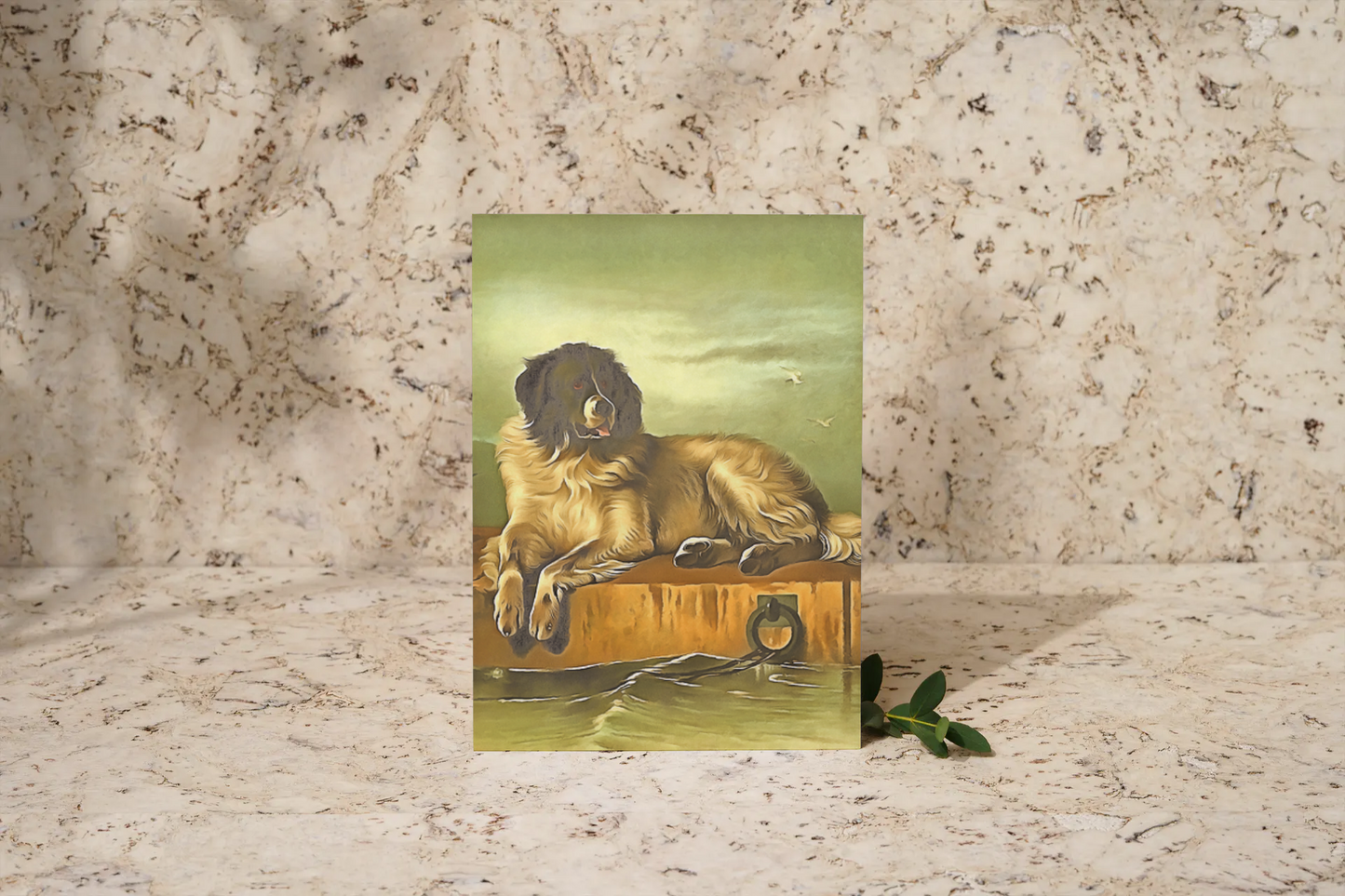 Any occasion greeting Card, blank inside, write anything, dog, design 25