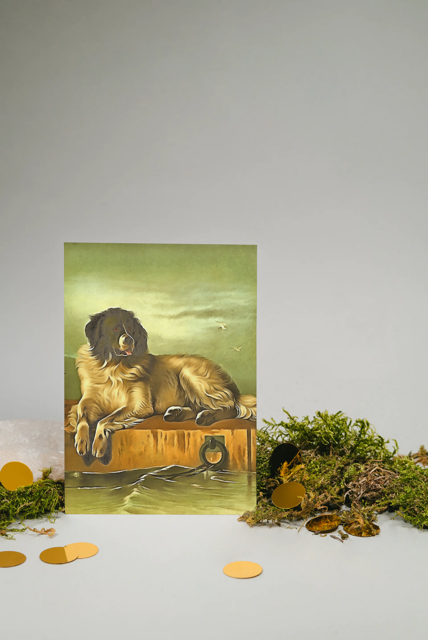 Any occasion greeting Card, blank inside, write anything, dog, design 25