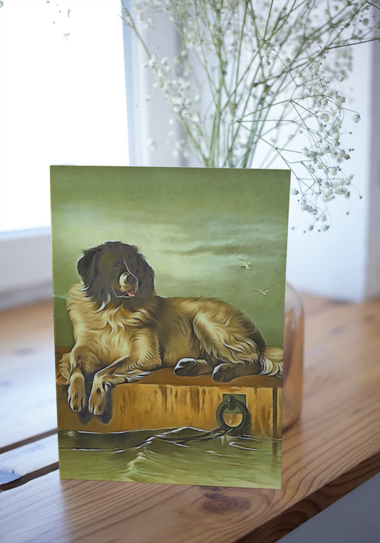 Any occasion greeting Card, blank inside, write anything, dog, design 25