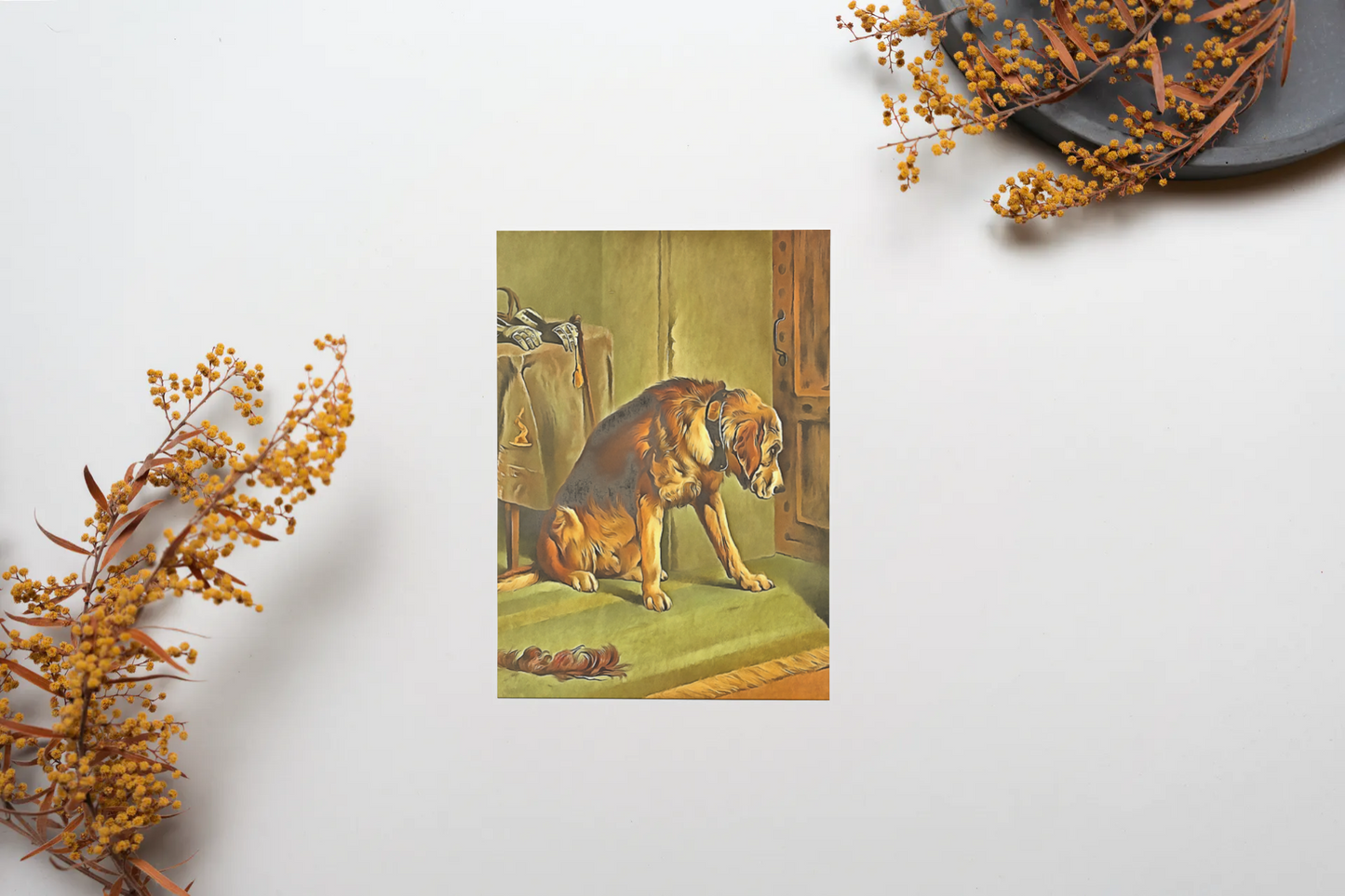 Any occasion greeting Card, blank inside, write anything, dog, design 26