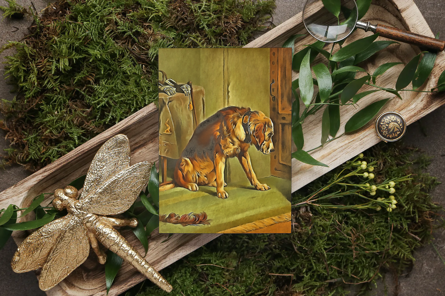 Any occasion greeting Card, blank inside, write anything, dog, design 26