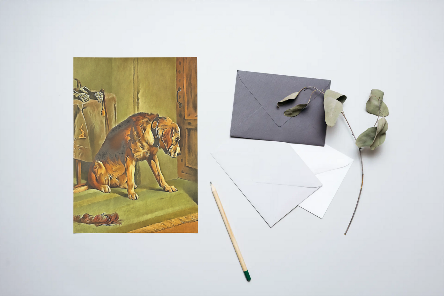 Any occasion greeting Card, blank inside, write anything, dog, design 26