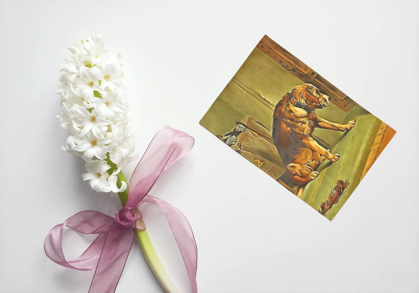 Any occasion greeting Card, blank inside, write anything, dog, design 26