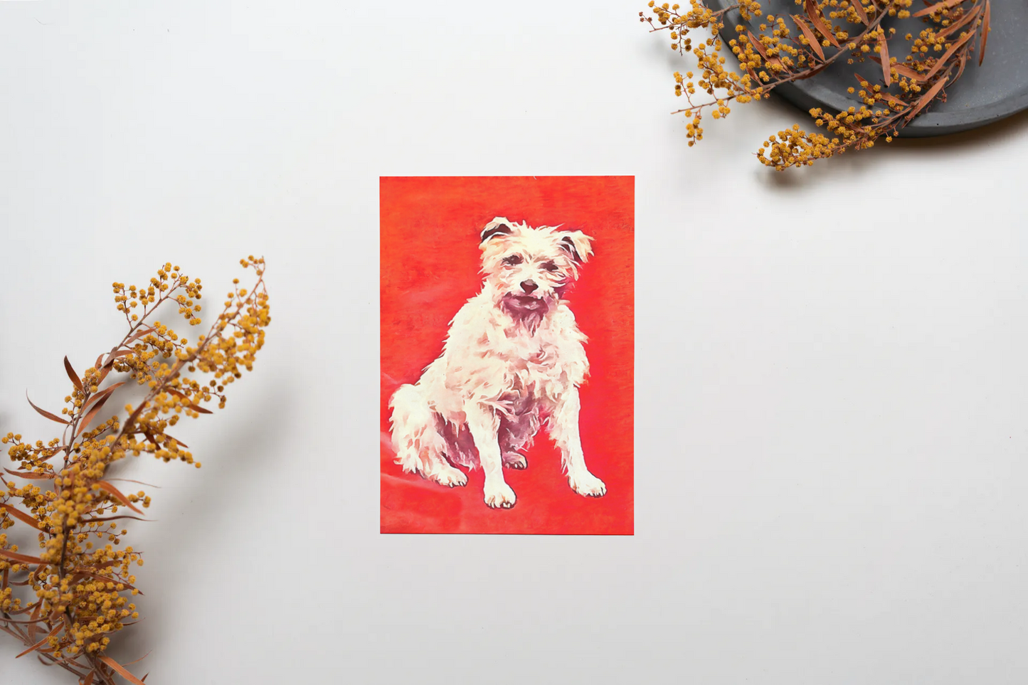 Any occasion greeting Card, blank inside, write anything, dog, design 29