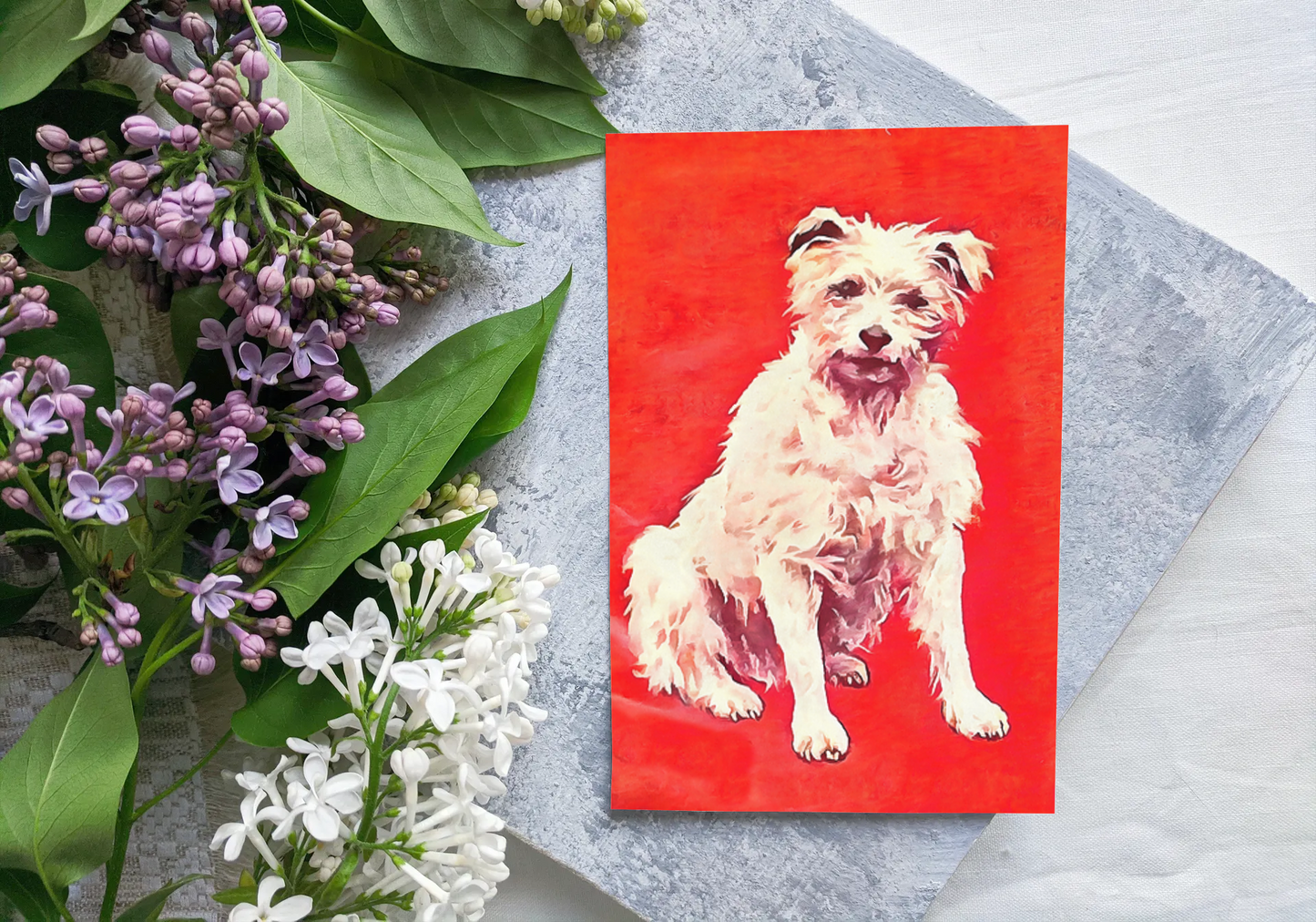 Any occasion greeting Card, blank inside, write anything, dog, design 29