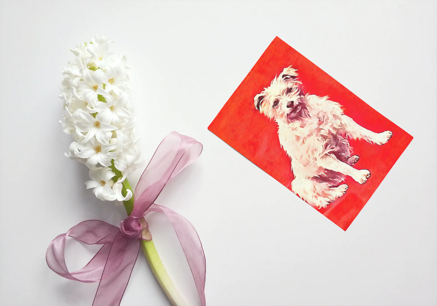 Any occasion greeting Card, blank inside, write anything, dog, design 29