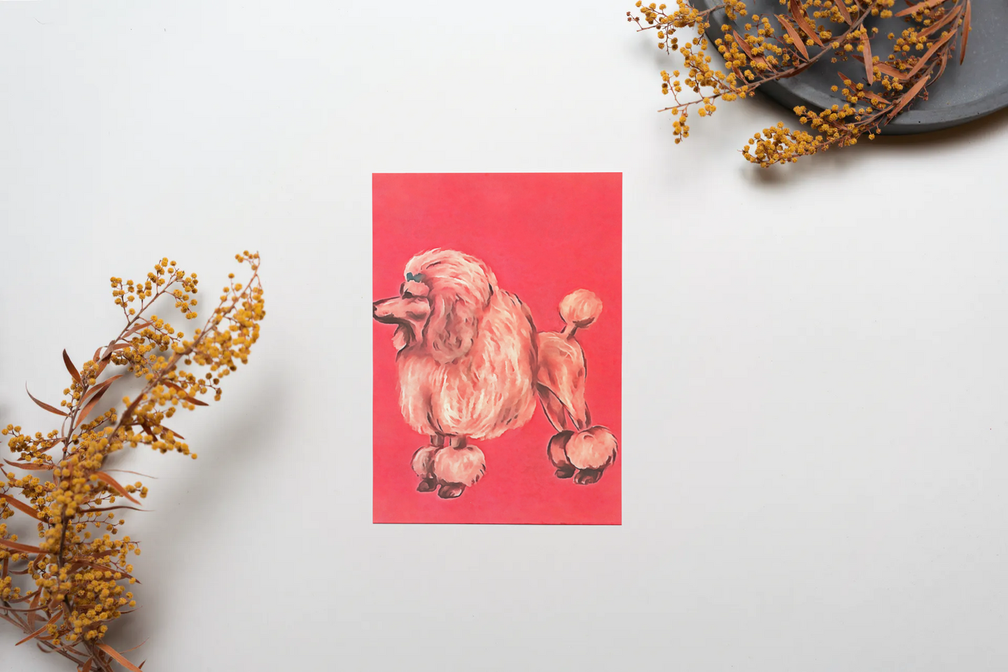 Any occasion greeting Card, blank inside, write anything, dog, design 30