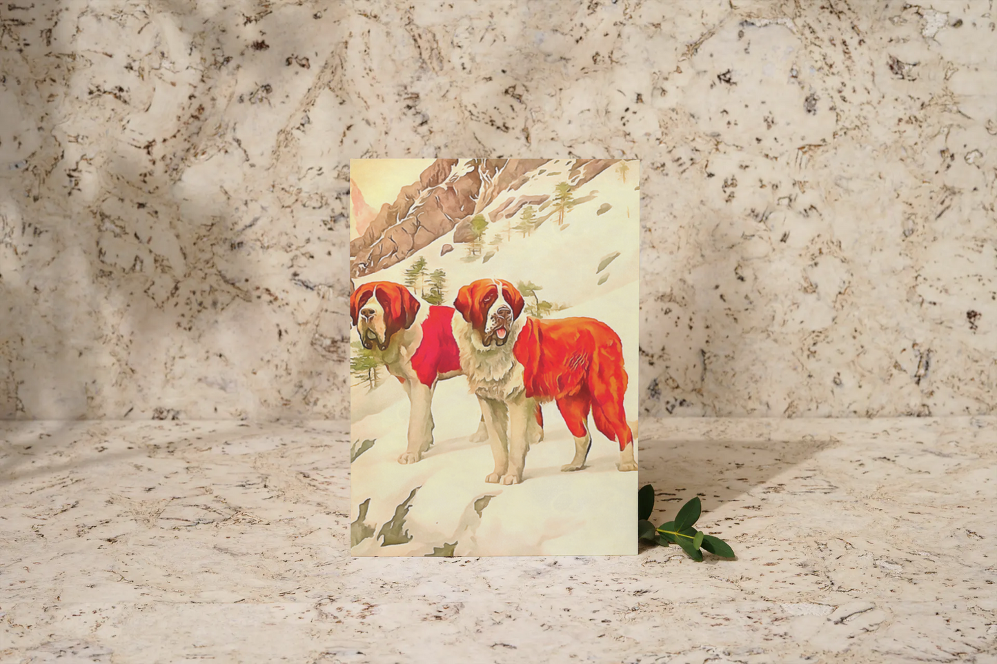 Any occasion greeting Card, blank inside, write anything, dog, St. Bernard, design 12