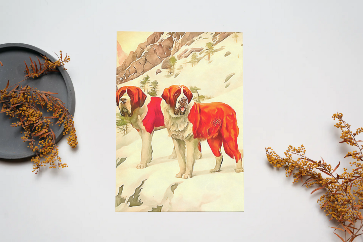 Any occasion greeting Card, blank inside, write anything, dog, St. Bernard, design 12