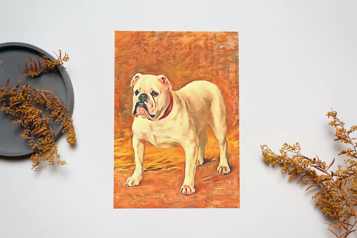 Any occasion greeting Card, blank inside, write anything, dog, Bulldog, design 8