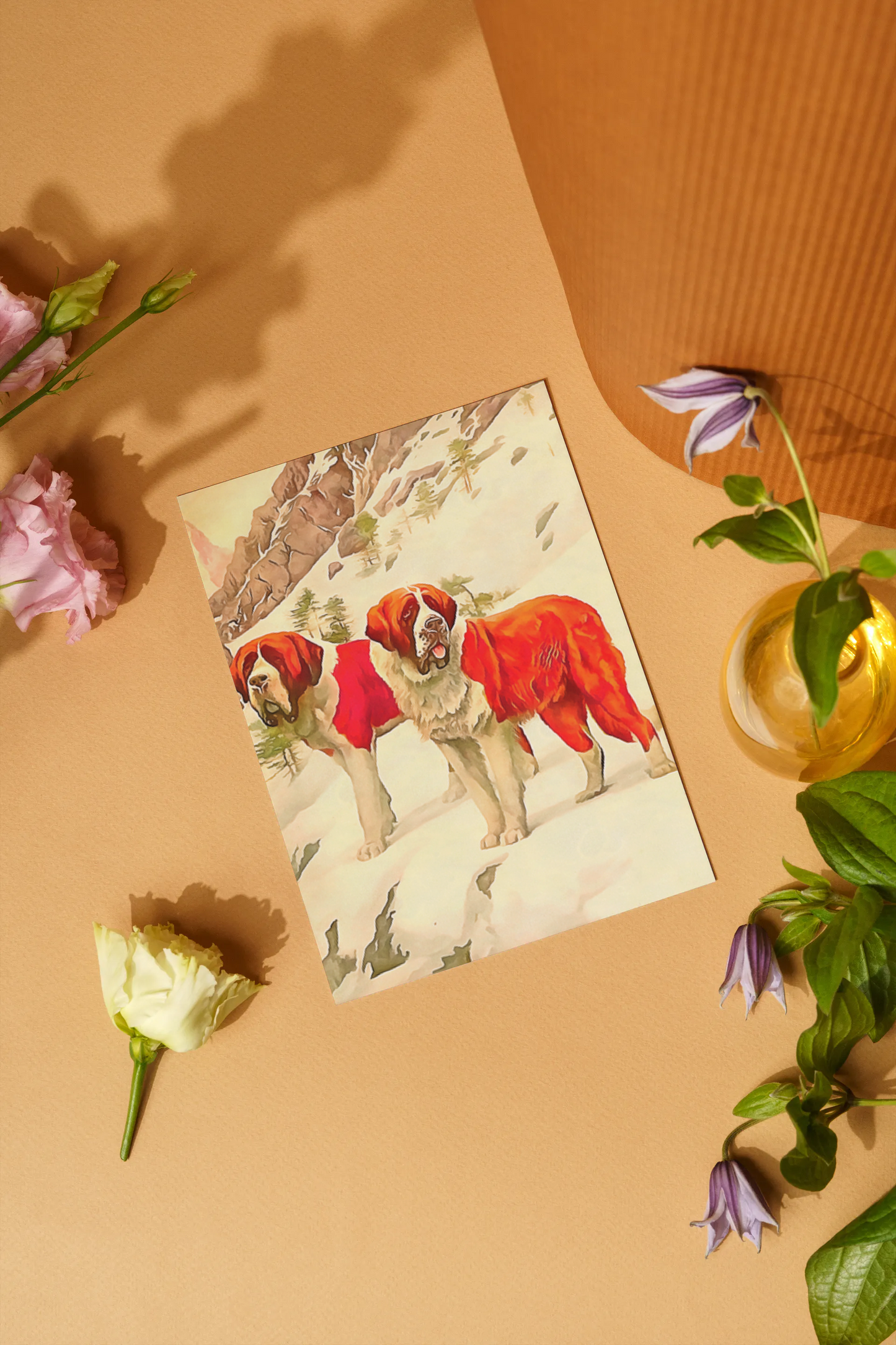 Any occasion greeting Card, blank inside, write anything, dog, St. Bernard, design 12