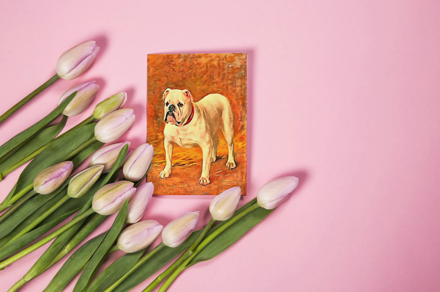 Any occasion greeting Card, blank inside, write anything, dog, Bulldog, design 8