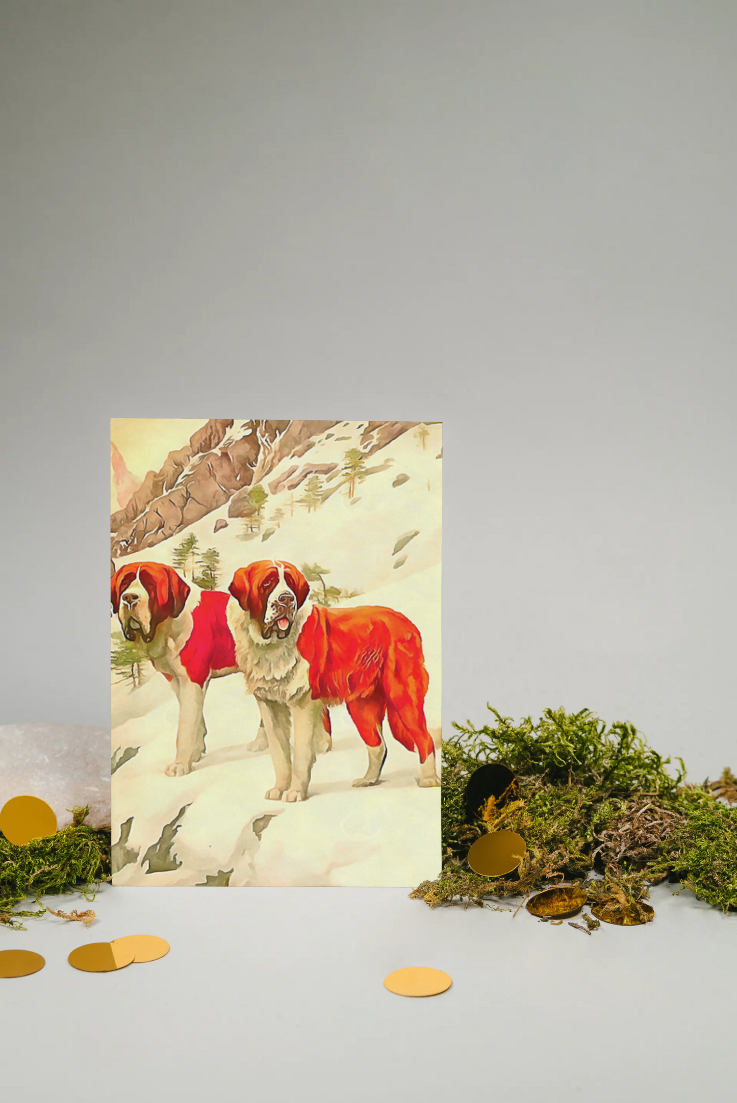 Any occasion greeting Card, blank inside, write anything, dog, St. Bernard, design 12