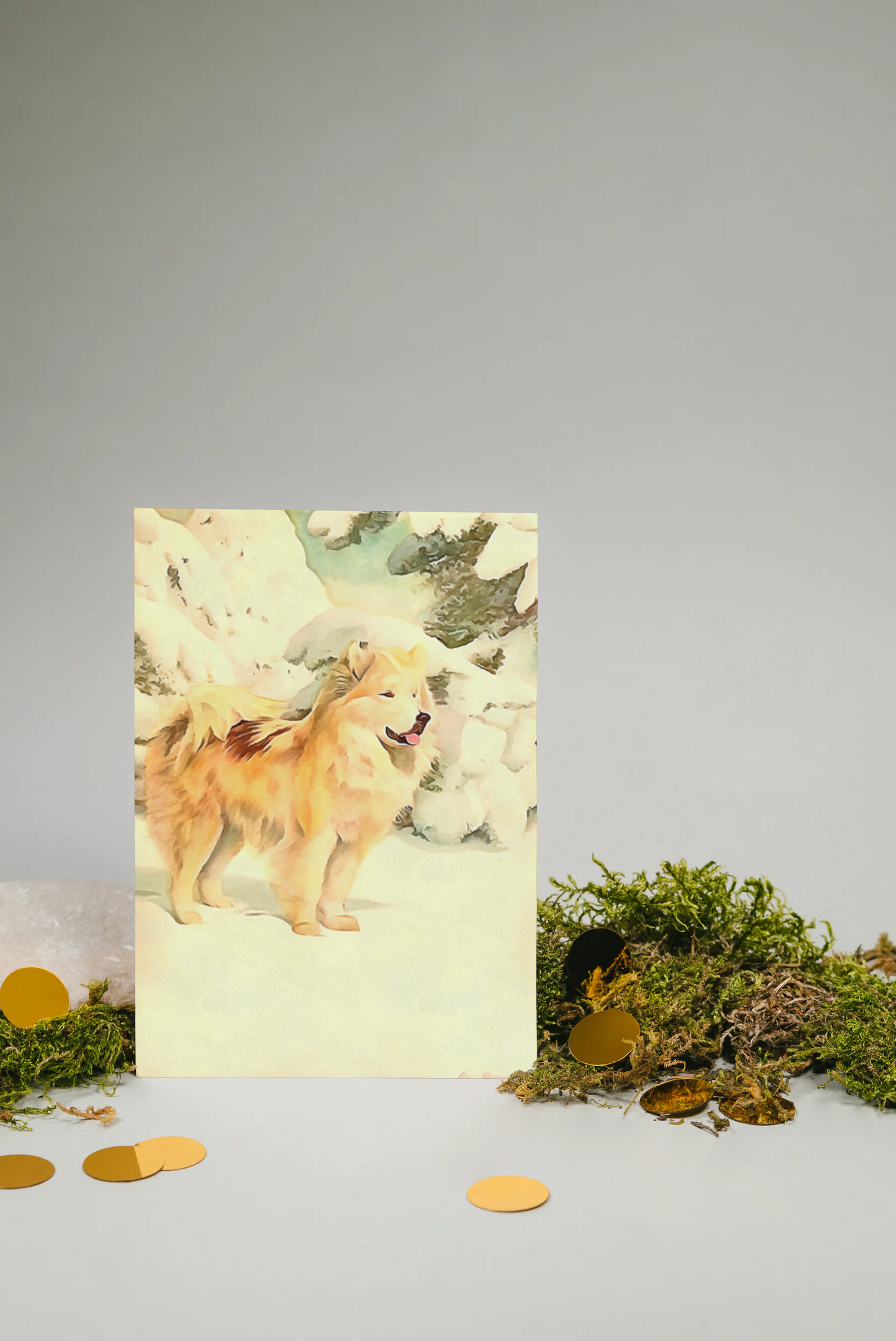 Any occasion greeting Card, blank inside, write anything, Greenland Eskimo dog, design 11