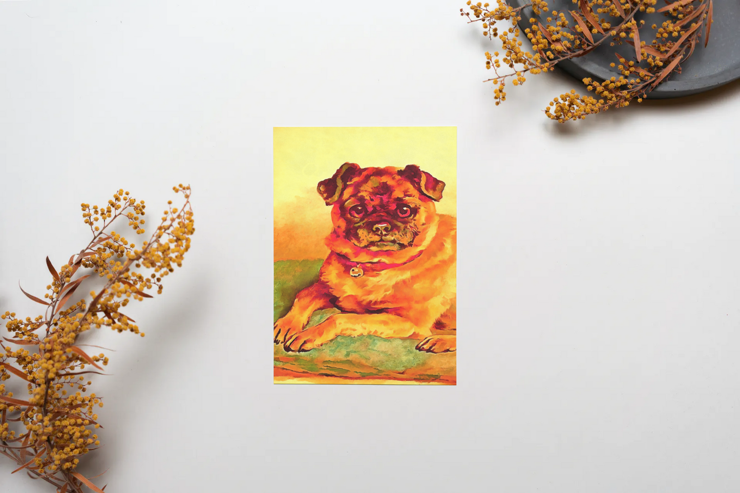 Any occasion greeting Card, blank inside, write anything, Pug dog, design 18