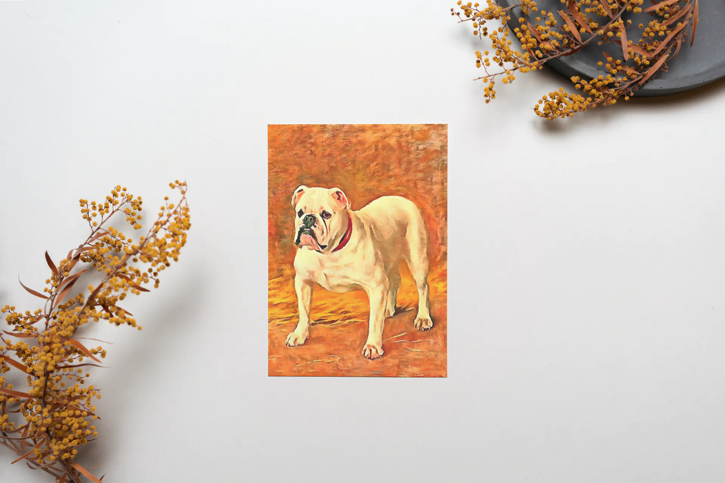 Any occasion greeting Card, blank inside, write anything, dog, Bulldog, design 8