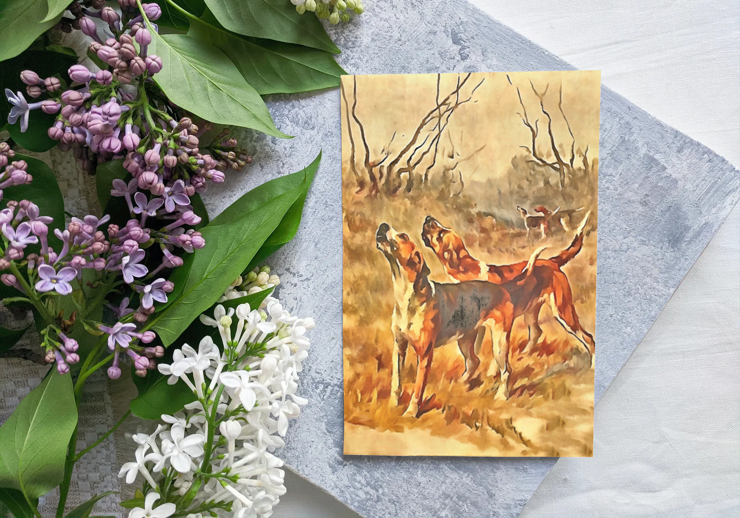 Any occasion greeting Card, blank inside, write anything, dog, foxhound, design 2