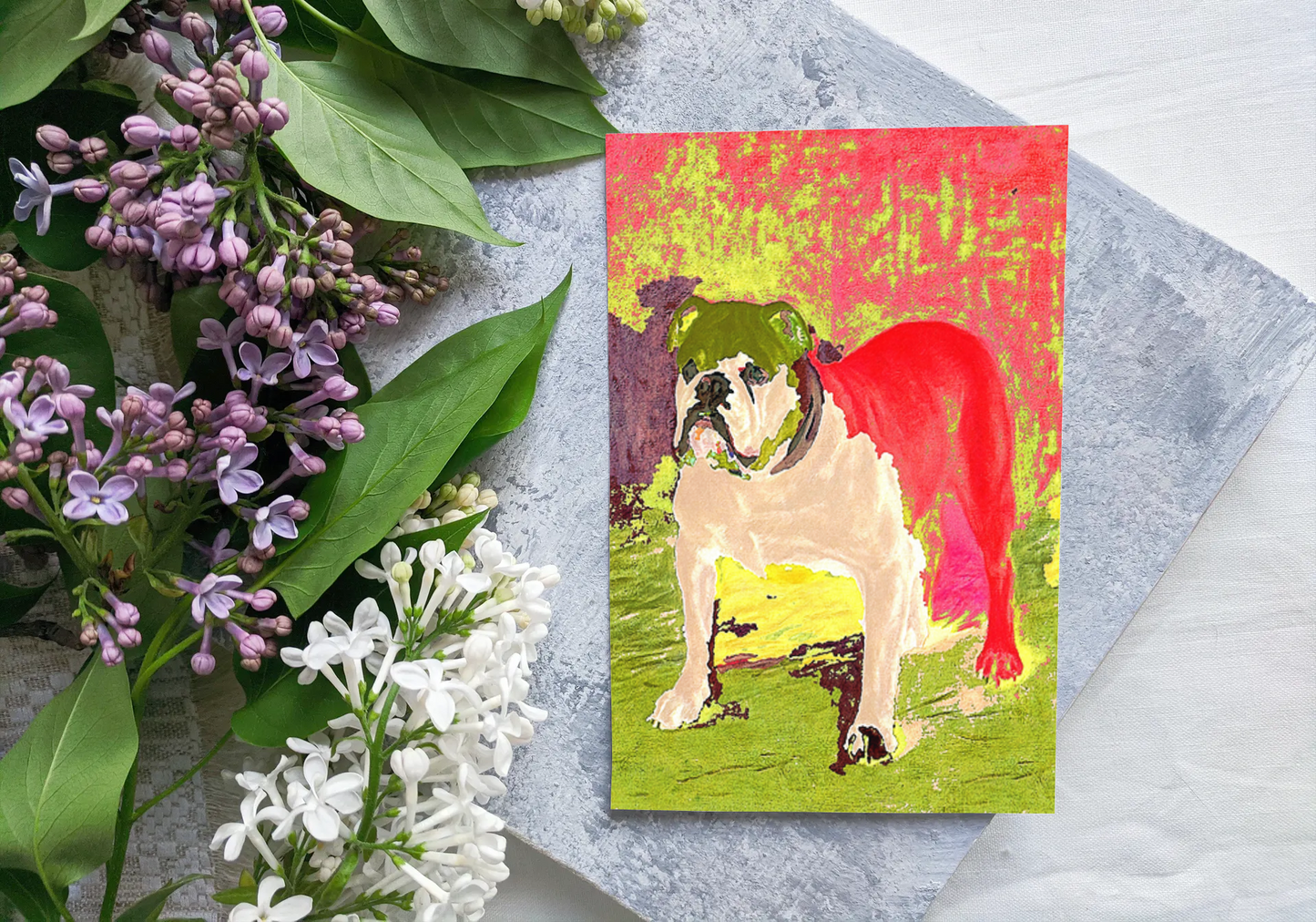 Any occasion greeting Card, blank inside, write anything, dog, Bulldog, design 8B