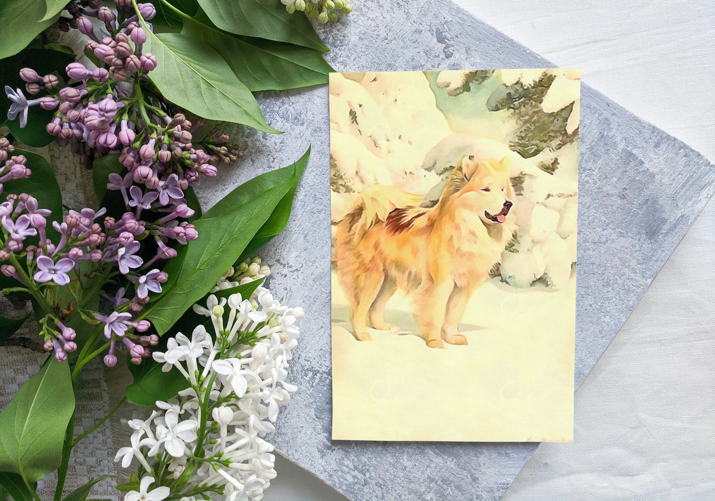 Any occasion greeting Card, blank inside, write anything, Greenland Eskimo dog, design 11