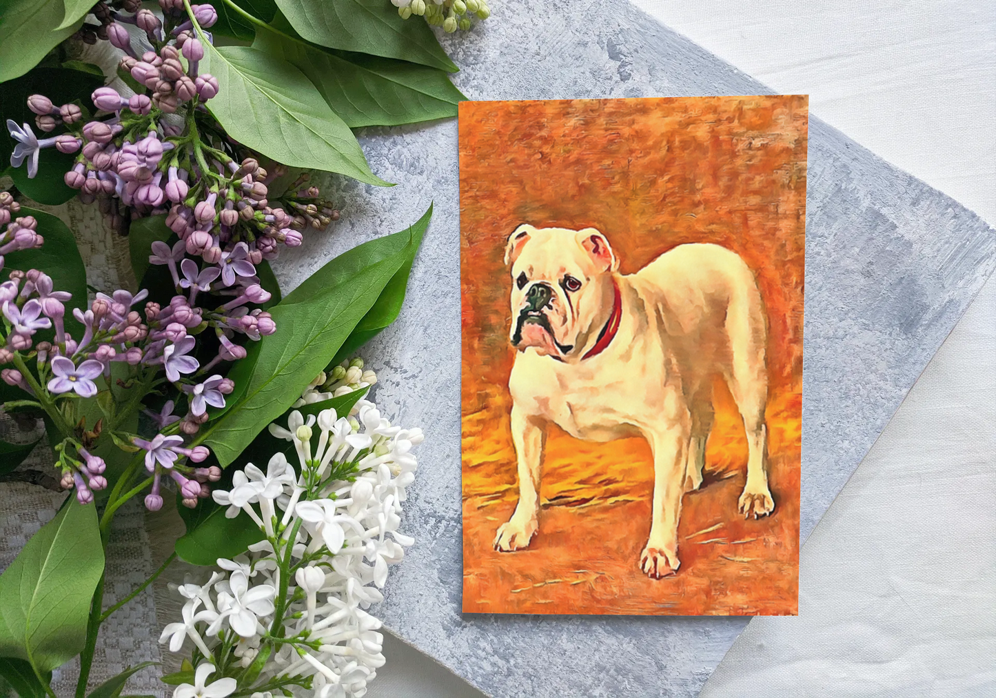 Any occasion greeting Card, blank inside, write anything, dog, Bulldog, design 8