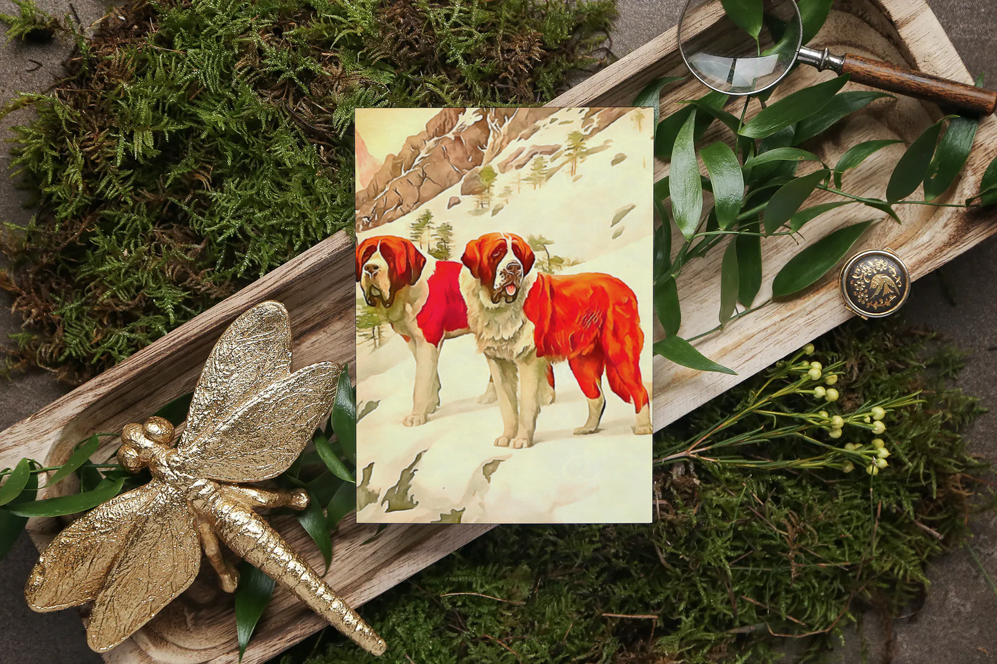 Any occasion greeting Card, blank inside, write anything, dog, St. Bernard, design 12