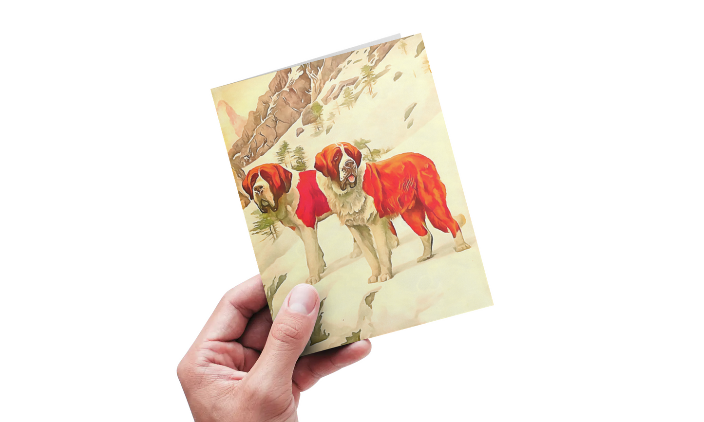 Any occasion greeting Card, blank inside, write anything, dog, St. Bernard, design 12