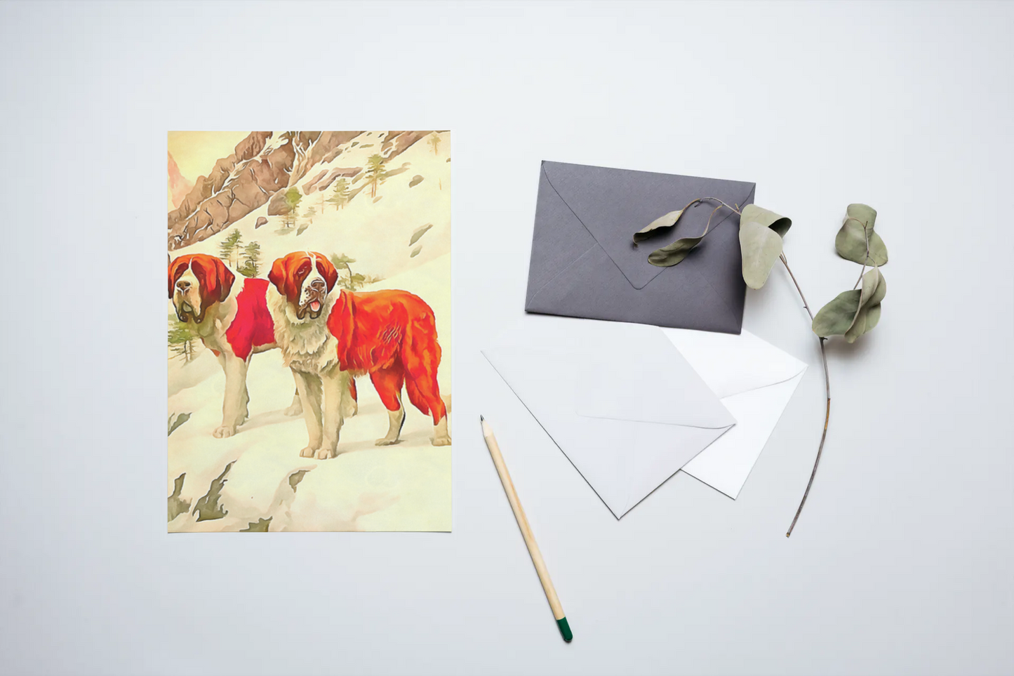 Any occasion greeting Card, blank inside, write anything, dog, St. Bernard, design 12