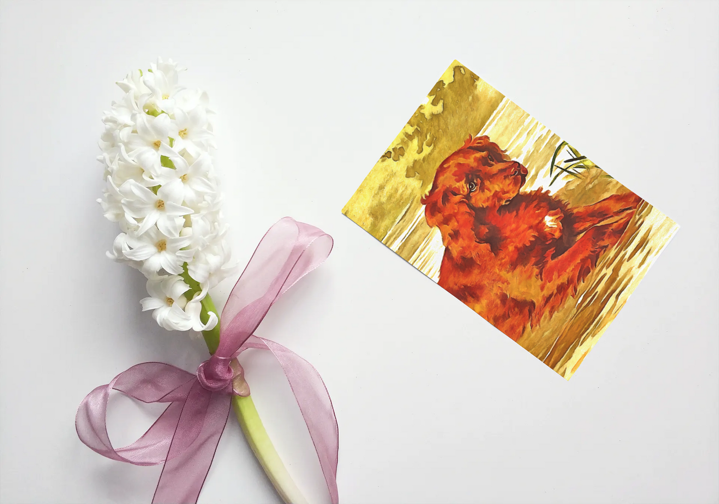 Any occasion greeting Card, blank inside, write anything, dog, design 19