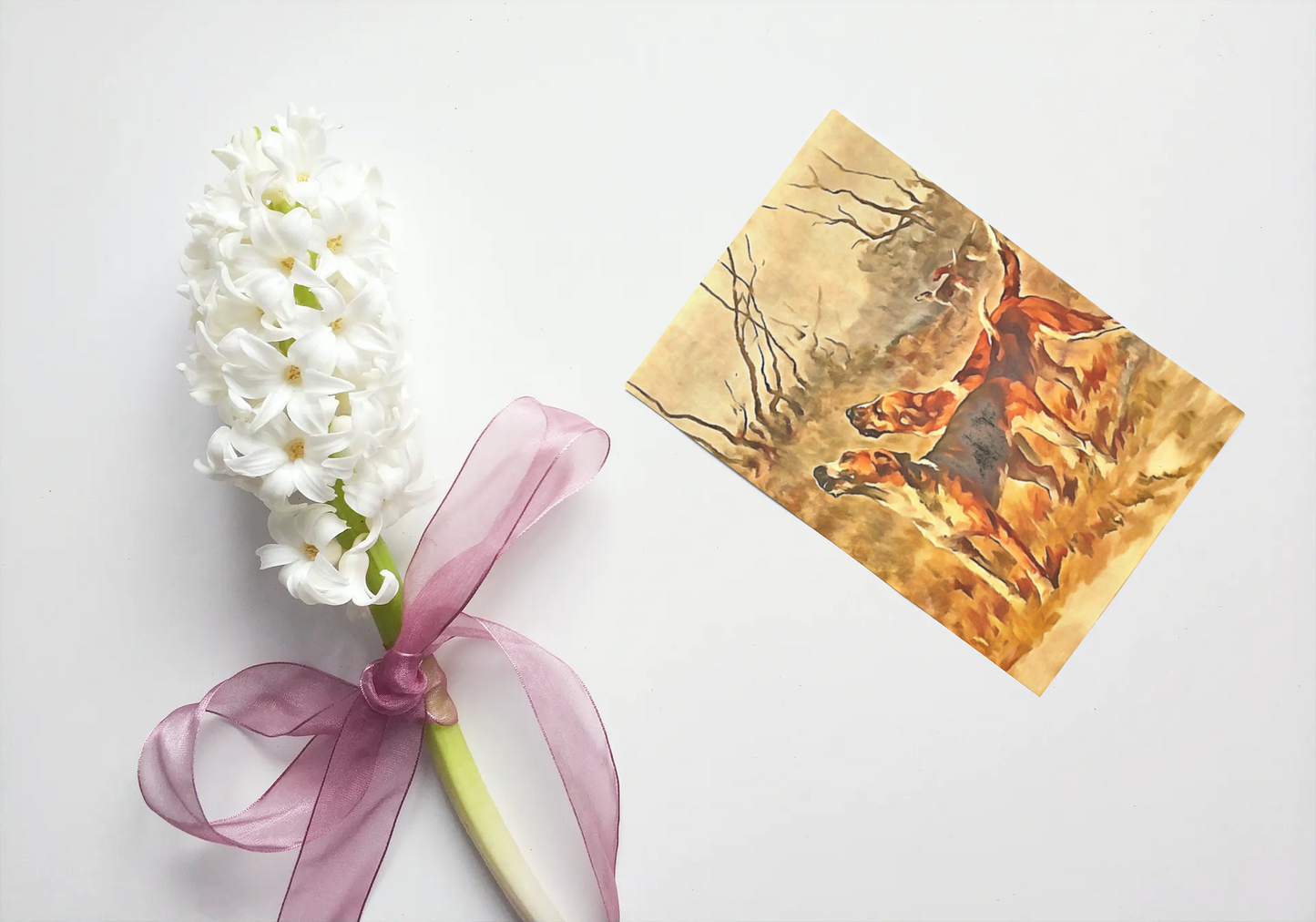 Any occasion greeting Card, blank inside, write anything, dog, foxhound, design 2