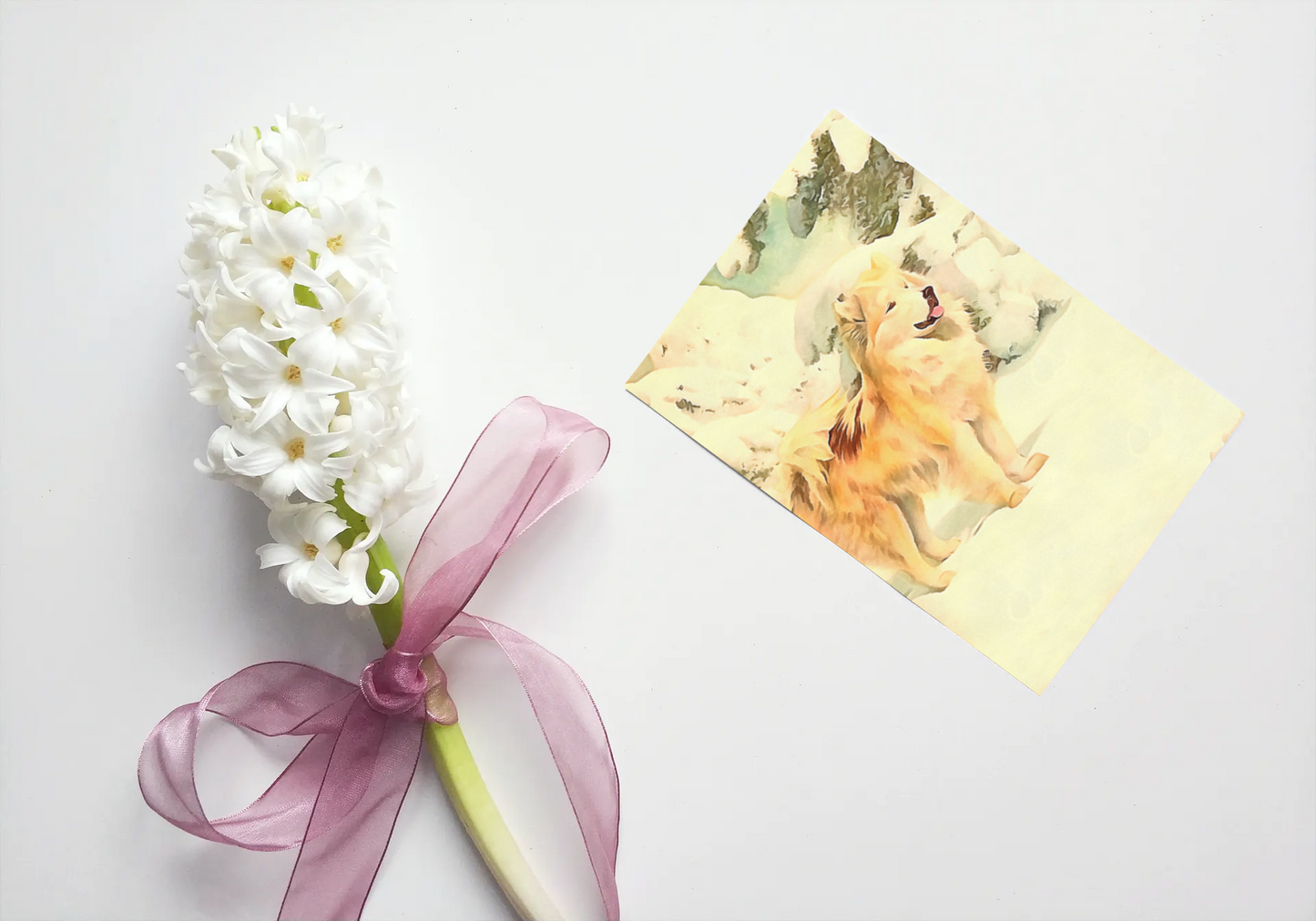 Any occasion greeting Card, blank inside, write anything, Greenland Eskimo dog, design 11