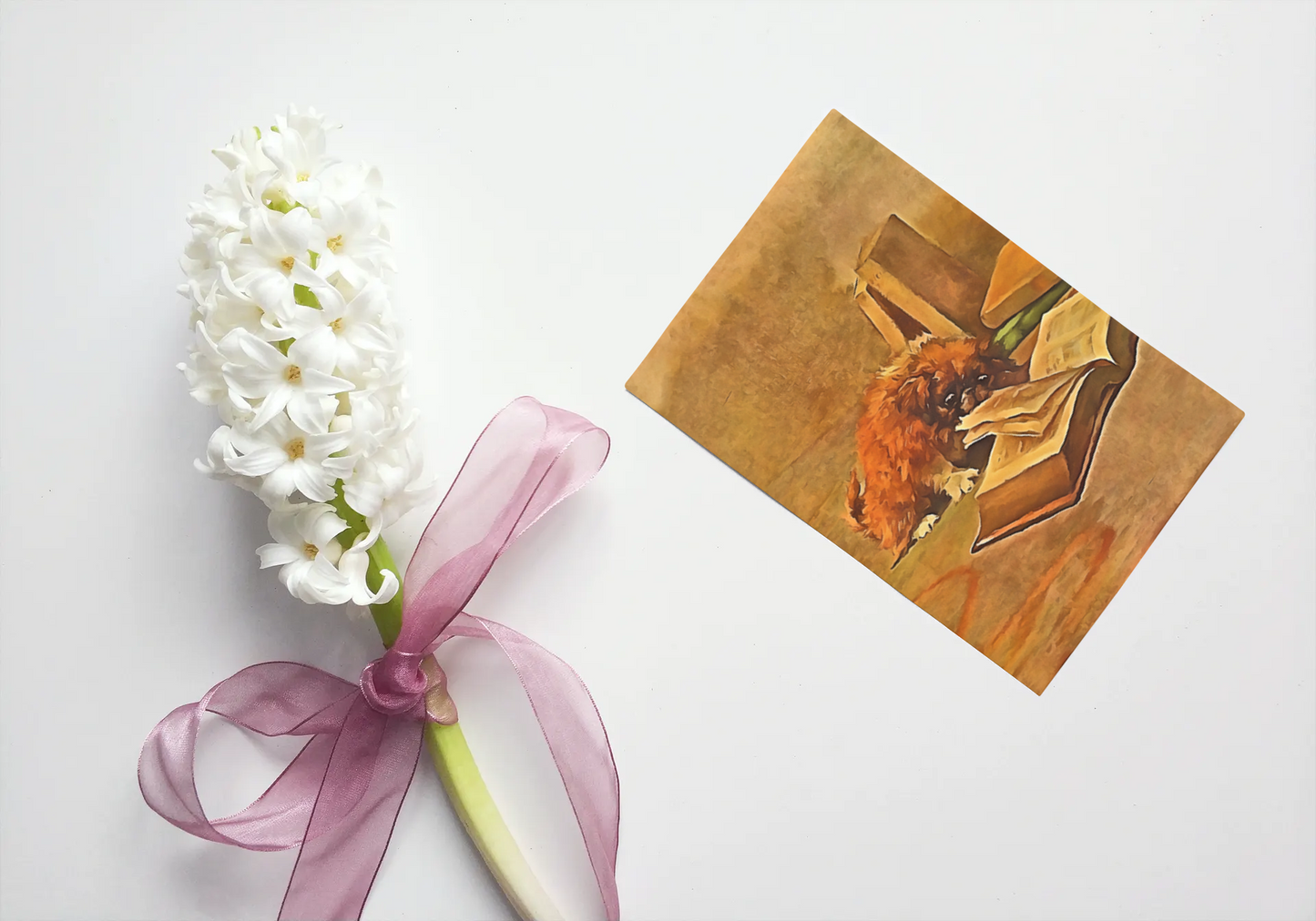 Any occasion greeting Card, blank inside, write anything, Pekinese dog, design 6