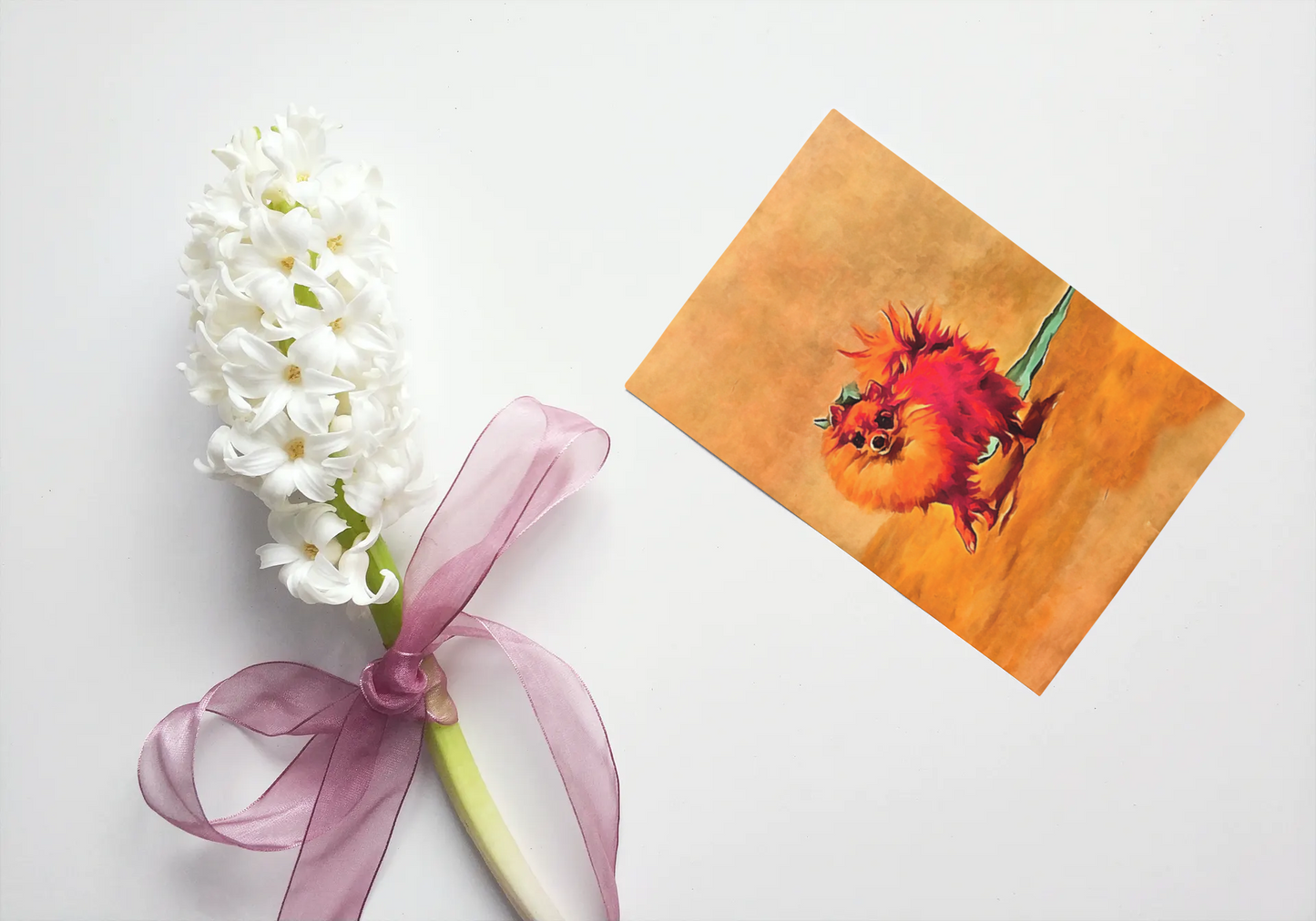 Any occasion greeting Card, blank inside, write anything, Miniature Pomeranian dog, design 4