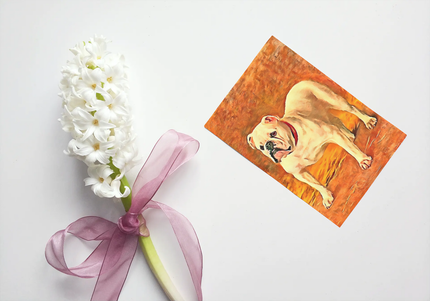 Any occasion greeting Card, blank inside, write anything, dog, Bulldog, design 8