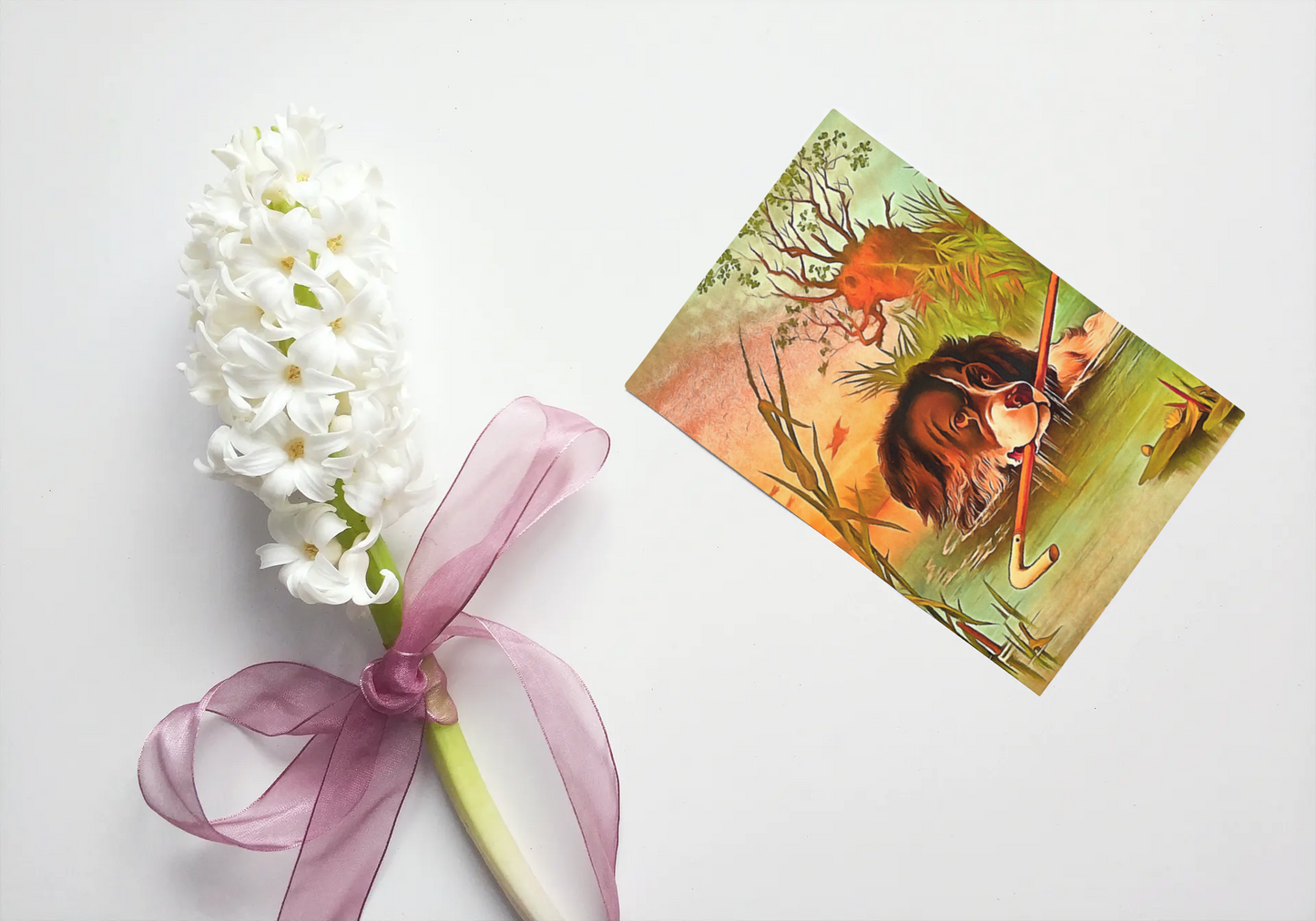 Any occasion greeting Card, blank inside, write anything, dog, design 16