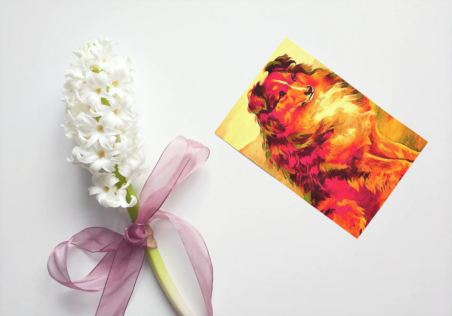 Any occasion greeting Card, blank inside, write anything, dog, Collie, design 17